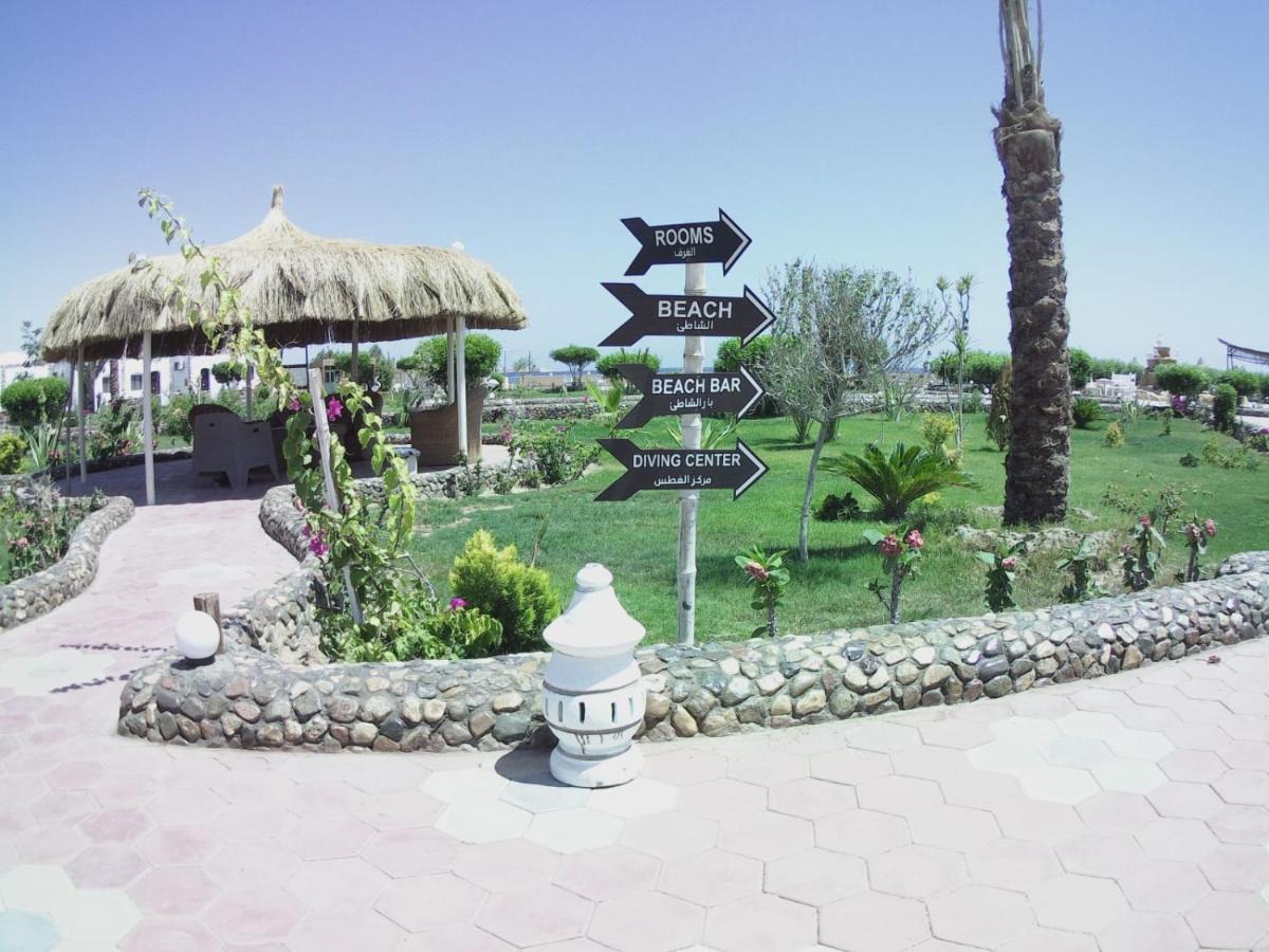 Dolphin Continental Hotel El Qoseir Εξωτερικό φωτογραφία
