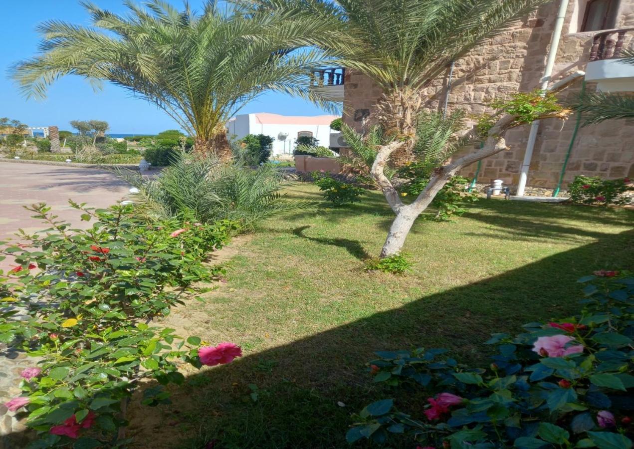 Dolphin Continental Hotel El Qoseir Εξωτερικό φωτογραφία