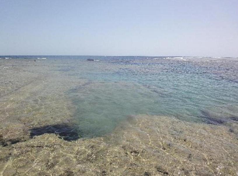 Dolphin Continental Hotel El Qoseir Εξωτερικό φωτογραφία